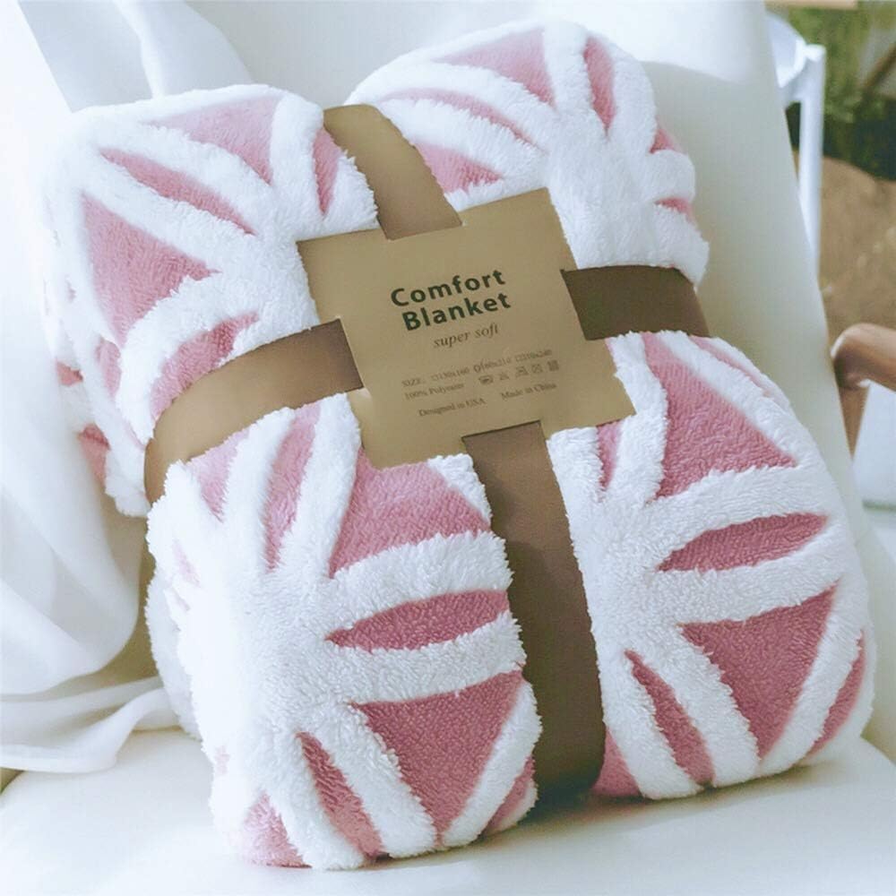 LOMAO Sherpa Fleece Blanket Fuzzy Soft Throw Blanket Dual Sided Blanket for Couch Sofa Bed (Light Blue, 90''x90'')